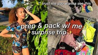 Prep & Pack w Me *surprise trip* | Alyssa Howard