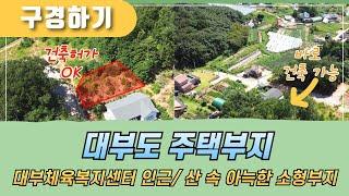 [구경하기] 대부도 주택부지 건축허가 있는 소형부지/대부체육복지센터 인근 /대부도임소장/3090부동산/(963)