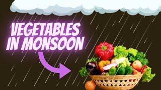 VEGETABLES IN MONSOON /WHICH VEGETABLES SHOULD GROW IN MONSOON SEASON