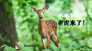 小心！ 老虎来了！ 中文免费动画绘本 | Books4TV绘本故事 Chinese free picure book for children