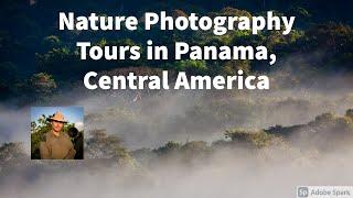 Nature photography tours in Panama with www.panamaphotoexplorations.com