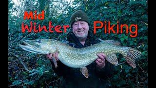 Mid Winter Piking