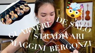 Historic Violins: Stradivari, Guarneri, Maggini, De Salo, Bergonzi