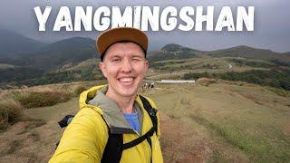 Taipei Day Trip  - Yangmingshan National Park (陽明山國家公園) - FULL DAY Itinerary!