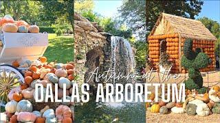  Autumn at the Dallas Arboretum VLOG  100k Pumpkin Village & Fall Market