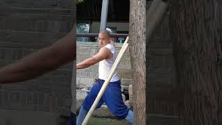 Shaolin Iron Arm Kung Fu yanhao #shaolinkungfuyanhao