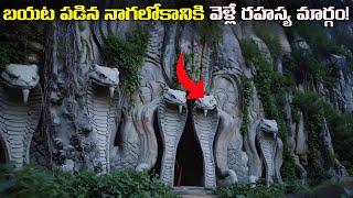 బయటపడిన నాగ లోకానికి వెళ్లే రహస్య మార్గం | Patala Lokam And Naagalokam | FN-20 Telugu