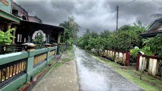 Super heavy rain and windstorms worry the village | A Moment of Relaxation when Rain and Thunder