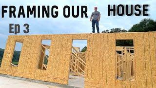 WE GOT WOOD! Building a farmhouse from scratch Ep 3 Lumber prices crash just in time!!!!!