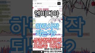 엔비디아, 매도할 이유(25.5.28)