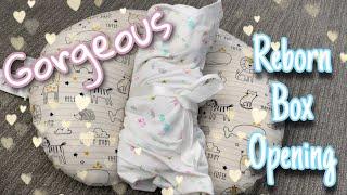 Reborn Baby Box Opening From A Prototype Artist! | Mya Reborns