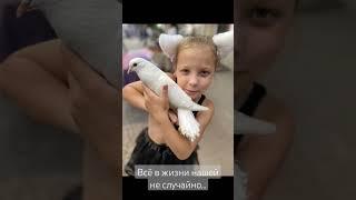 Всё в нашей жизни не случайно.