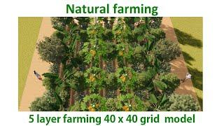 5 layer farming 40 x 40 grid, Natural farming, Zero budget Farming, Agroforestry || प्राकृतिक खेती