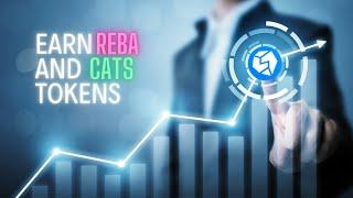 START FARMING CATS AND REBA TOKENS WITH STON.FI DEX