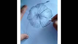 hibiscus flower#easy drawing#drawing hibiscus flower#drawing with haya#shorts