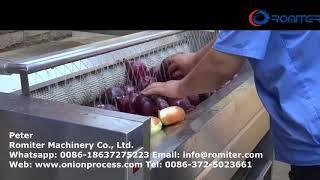 Automatic Brush Type Onion Washing Peeling Machine