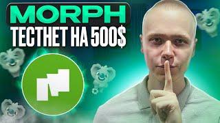 Morph | Тестнет с гарантированными наградами | airdrop