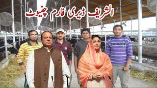 Nawaz Sharif Dairy Farm Chiniot Pak Biggest Cow Dairy Farm #nawazsharif #maryamnawaz  #shahbazsharif