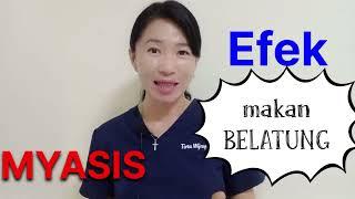 Myasis / Efek Makan Belatung @dr.tirtawatiwijaya
