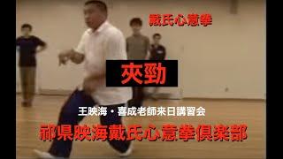 戴氏心意拳　王映海、王喜成老師　来日講習会　dai shi xinyi quan wang yinghai