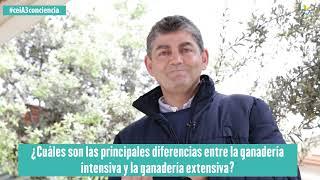 #ceiA3conciencia | Diferencias entre ganadería intensiva y ganadería extensiva - Cipriano Díaz