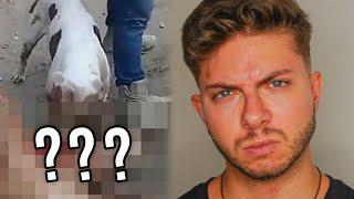 NON dovevo PARLARE di quel VIDEO... | Jematria