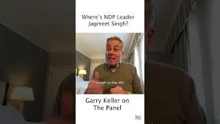 Garry Keller on The Panel - The Paul Wells Show Feb 28, 2025