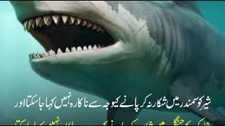 Phir Dekh Khuda Kia karta hai | پھردیکھ خدا کیا کرتا ہے | Shair or Shark | Islamic Videos