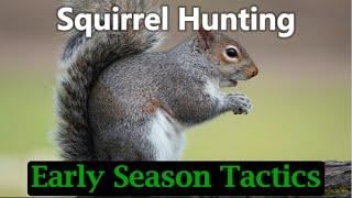 Squirrel Hunting Tips: Early Season Tactics