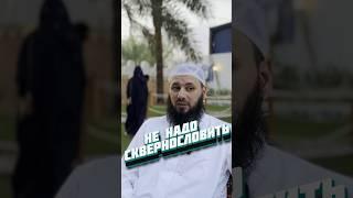 Аллах не любит когда люди сквернословят. Али Абу Иса #ислам #коран