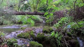 DEEP FOREST RIVER / SOLFEGGIO FREQUENCIES, HEALING FREQUENCIES, SPA MUSIC, HEALING MUSIC