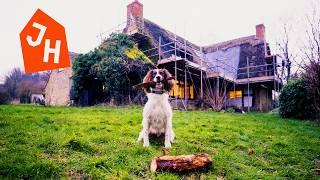 3 Months at our Abandoned 500 Year Old Cottage Renovation | Ivy Infestation Removal #7