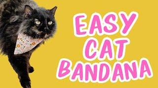 The Ultimate Beginners Sewing Project - Easy Cat Bandana Pattern | Sewing for Beginners