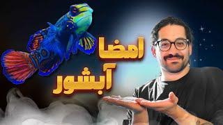 جواهر متحرک! ماجراهای شگفت انگیز ماهی ماندارین (آب شور) 