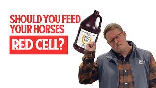 Why You Should or Shouldn't Feed Your Horse Red Cell