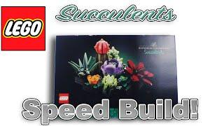 Speed Build & Review: LEGO Succulents | 10309