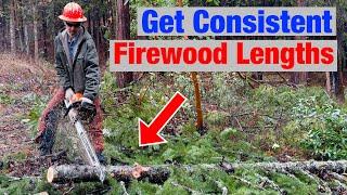 How I Cut Firewood to Uniform Lengths Free Hand