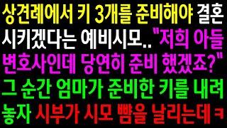 (반전사연)상견례에서 키 3개를 준비해야 결혼시키겠다는 예비시모..그 순간 엄마가 준비한 키를 내려놓자 시부가 시모 뺨을 날리는데ㅋ[신청사연][사이다썰][사연라디오]