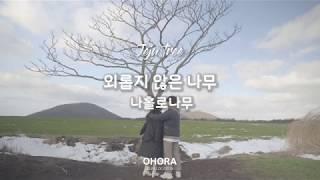 오호라 제주 나홀로(왕따) 나무 로케이션 영상(2020)