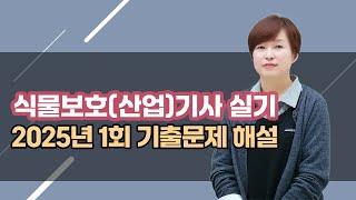 식물보호산업기사 실기 2025년 1회 기출문제 해설 (1번~6번) 강의 (김명희 종자기술사)