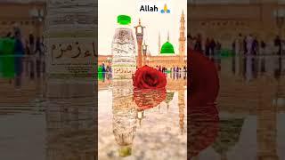 Wo Mera Nabi Hai|New Naat 2024#viral#trending#viralnaat#madina#muhammad#popular#status#مدینہ#محمد