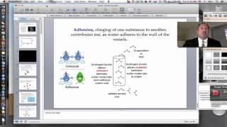 Water Chemistry