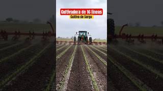 Cultivador de 16 líneas #agro #mundoagronomico #cultivos #agronegocio #tractor #cultivador #soil