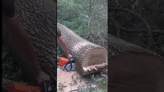 Crazy Strong Ported Stihl MS461 by Buxton Work Saws & Just Send It Saws - Chainsaw Porting