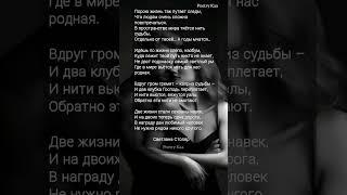 "Порою жизнь так путает следы" Светлана Столяр #поэзия #любовь #рек  #душадух  #стихиожизни