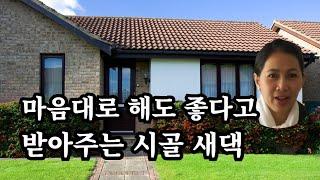 해 달라는 새댁, 실화사연, 과부 사연