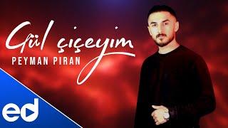 Peyman Piran - Gul Ciceyim 2025 (Yeni Mahni)