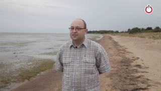 Роман Мерцалов. Человек на своей земле