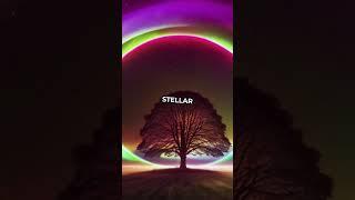 Witness a Rare Astronomical Event in 2024 #Astronomy #RareEvent #StarExplosion #2024 #TCrB