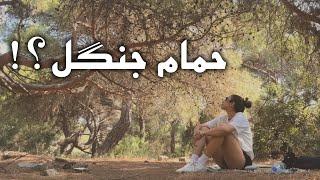 تراپی برای درمان استرس ؟ حمام جنگل یا شینرین یوکو